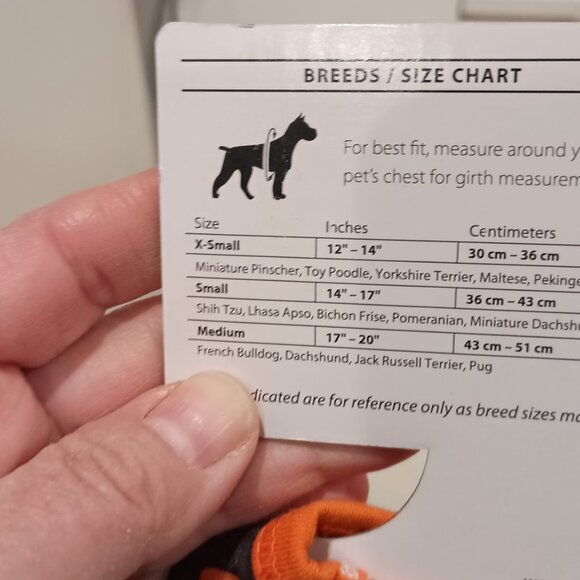 Dog Halloween Jack O Lantern Pumpkin Onesies, Small/Med - Picture 4 of 4